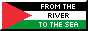 a button of the palestinian flag with text that reads From the river to the sea, Palestine will be free!